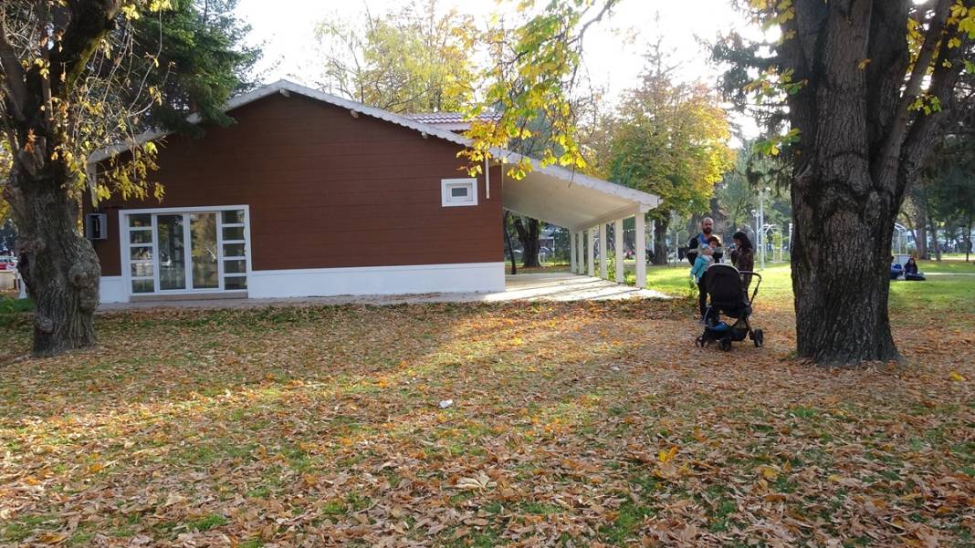 Instagram paylaşımları için sonbahar yapraklarının süpürülmesi yasaklandı 4